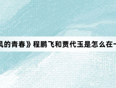 《迎风的青春》程鹏飞和贾代玉是怎么在一起的