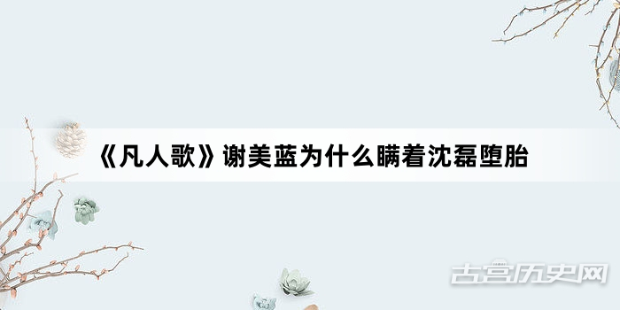 《凡人歌》谢美蓝为什么瞒着沈磊堕胎