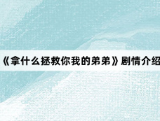 《拿什么拯救你我的弟弟》剧情介绍