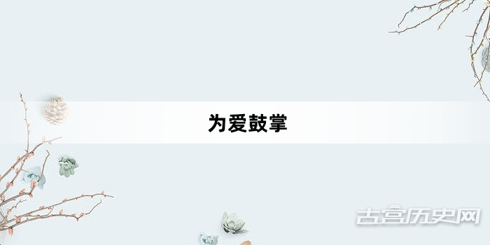 “为爱鼓掌”网络梗词解释
