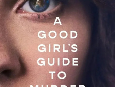 《好女孩的谋杀调查报告》原著是什么