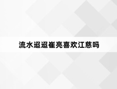 流水迢迢崔亮喜欢江慈吗
