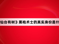 《仙台有树》黑袍术士的真实身份是什么