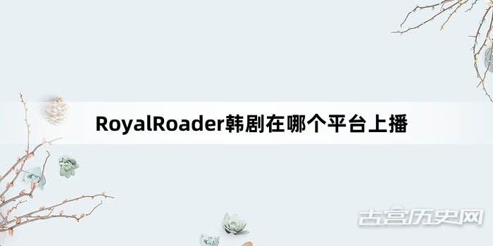 RoyalRoader韩剧在哪个平台上播