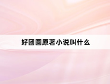 好团圆原著小说叫什么