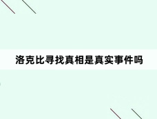 洛克比寻找真相是真实事件吗