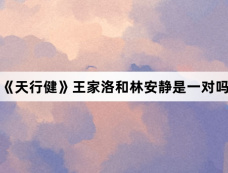 《天行健》王家洛和林安静是一对吗