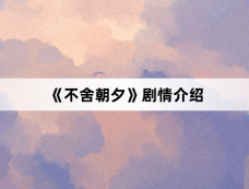 《不舍朝夕》剧情介绍