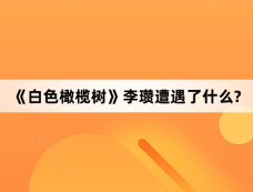 《白色橄榄树》李瓒遭遇了什么?