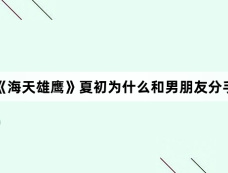 《海天雄鹰》夏初为什么和男朋友分手