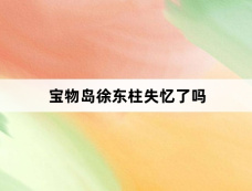 宝物岛徐东柱失忆了吗