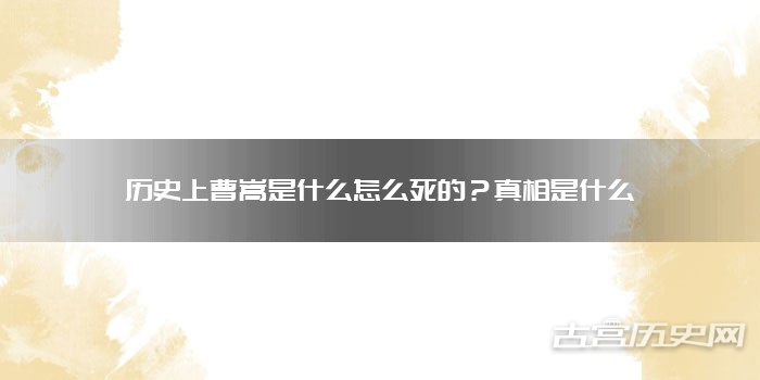 历史上曹嵩是什么怎么死的？真相是什么