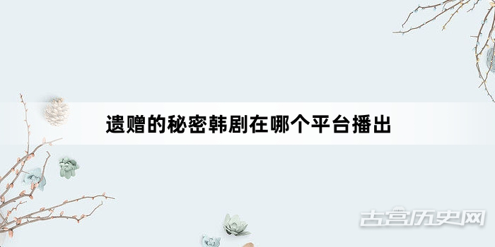 遗赠的秘密韩剧在哪个平台播出