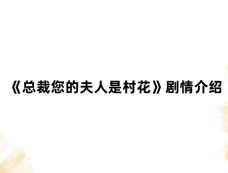 《总裁您的夫人是村花》剧情介绍