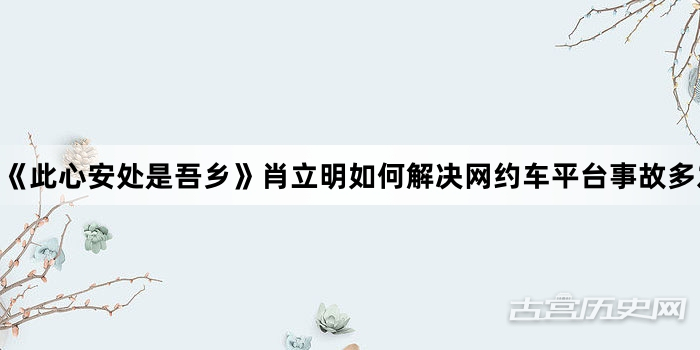 《此心安处是吾乡》肖立明如何解决网约车平台事故多发