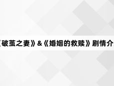 《破茧之妻》&《婚姻的救赎》剧情介绍