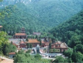 洛阳藏梅寺简介