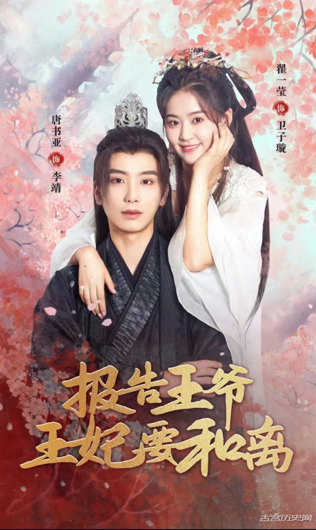 《报告王爷王妃要和离》剧情介绍