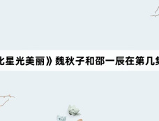 《你比星光美丽》魏秋子和邵一辰在第几集结婚