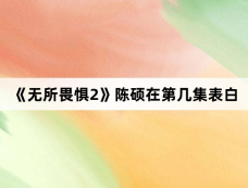 《无所畏惧2》陈硕在第几集表白