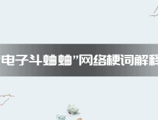 “电子斗蛐蛐”网络梗词解释
