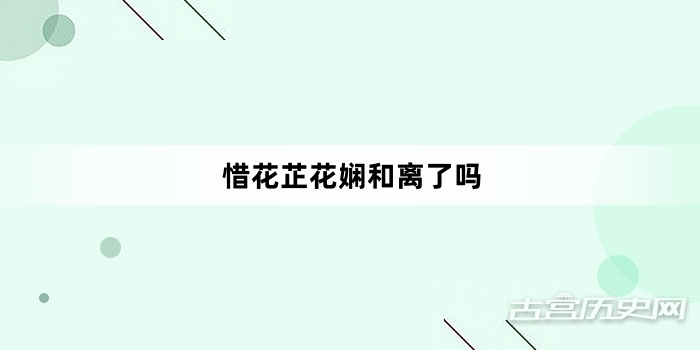惜花芷花娴和离了吗