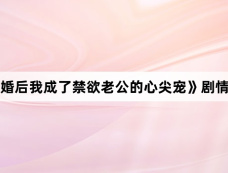 《闪婚后我成了禁欲老公的心尖宠》剧情介绍