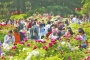 洛阳牡丹花会文化