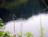 为何清明时节雨纷纷