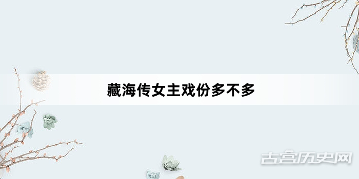藏海传女主戏份多不多