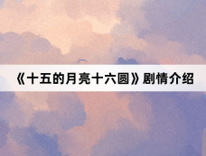 《十五的月亮十六圆》剧情介绍