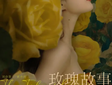 《玫瑰的故事》剧情百科（已完结）