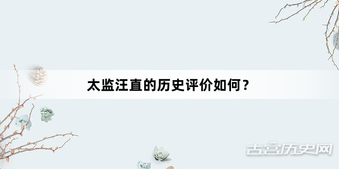 太监汪直的历史评价如何？