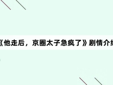 《他走后,京圈太子急疯了》剧情介绍