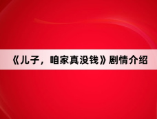《儿子,咱家真没钱》剧情介绍
