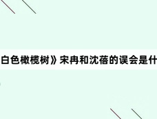 《白色橄榄树》宋冉和沈蓓的误会是什么