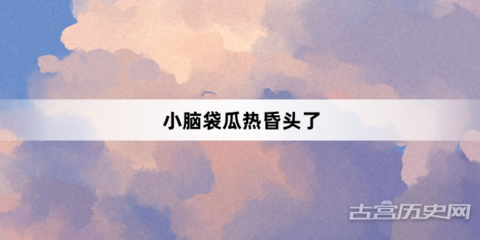 “小脑袋瓜热昏头了”网络梗词解释