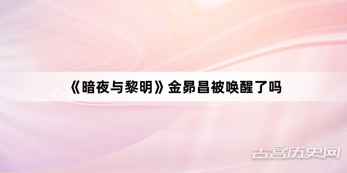《暗夜与黎明》金昴昌被唤醒了吗