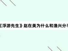 《浮游先生》赵在美为什么和渔兴分手