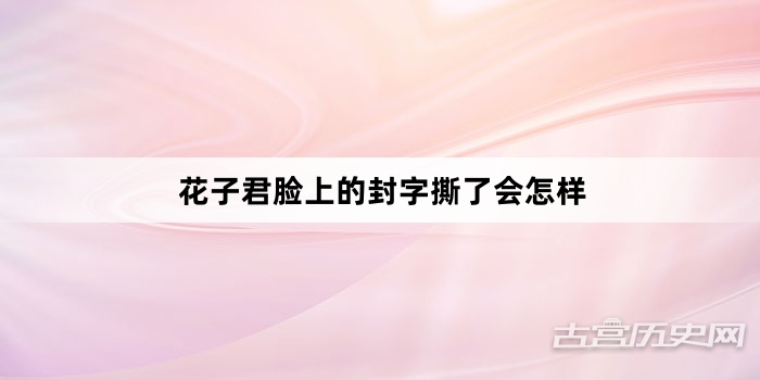 花子君脸上的封字撕了会怎样
