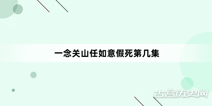 一念关山任如意假死第几集