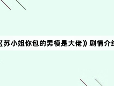 《苏小姐你包的男模是大佬》剧情介绍