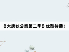 《大唐狄公案第二季》优酷待播！