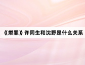 《燃罪》许同生和沈野是什么关系