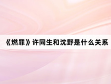 《燃罪》许同生和沈野是什么关系