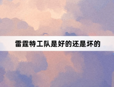 雷霆特工队是好的还是坏的