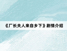 《厂长夫人来自乡下》剧情介绍