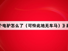 《我骑个电驴怎么了(可怜此地无车马)》剧情介绍