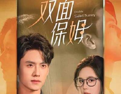 《双面保姆》剧情介绍
