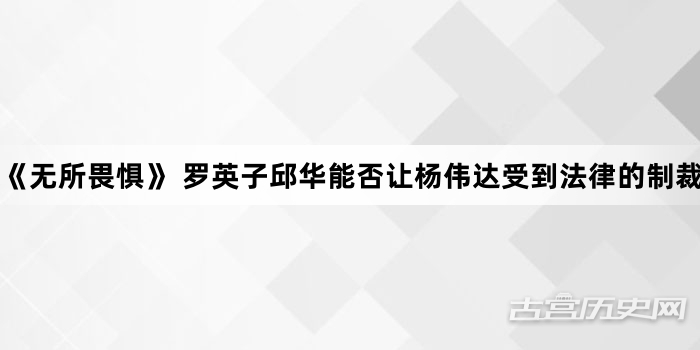 《无所畏惧》 罗英子邱华能否让杨伟达受到法律的制裁